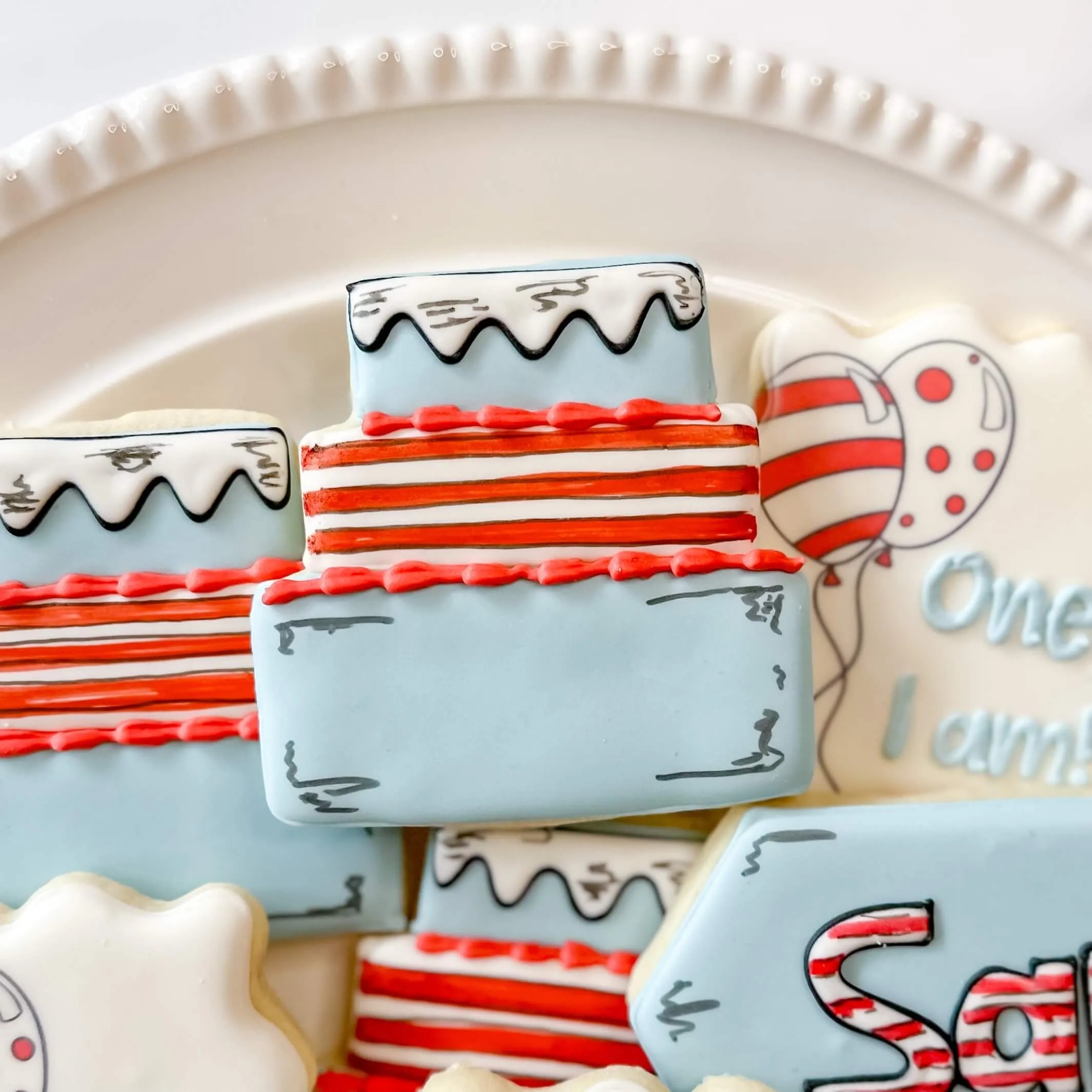 Birthday Collection | Seussical Surprise