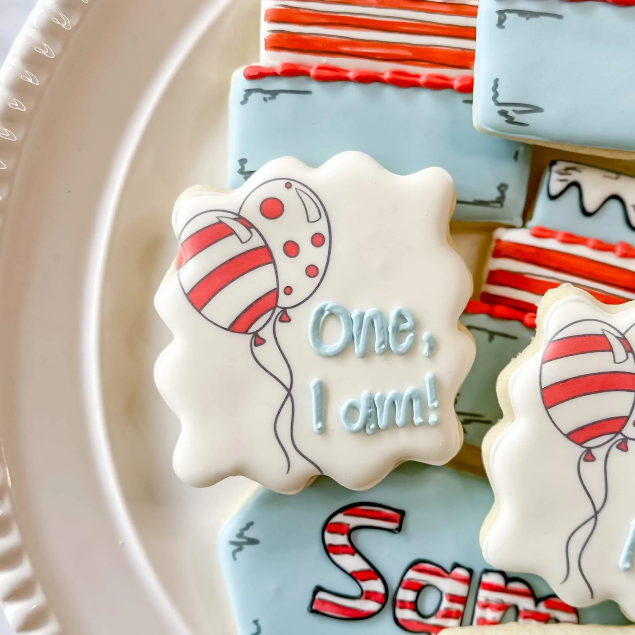 Birthday Collection | Seussical Surprise