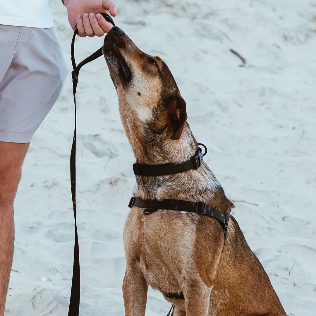 Blackout OG No-Pull Training Harness