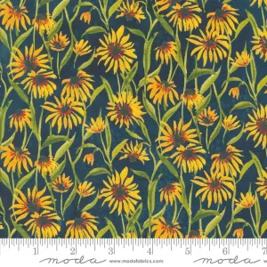 Floribunda by Moda Fabrics BLACKEYED SUZIE Q/MIDNIGHT
