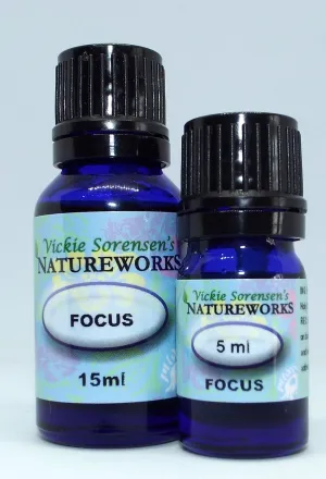 Focus