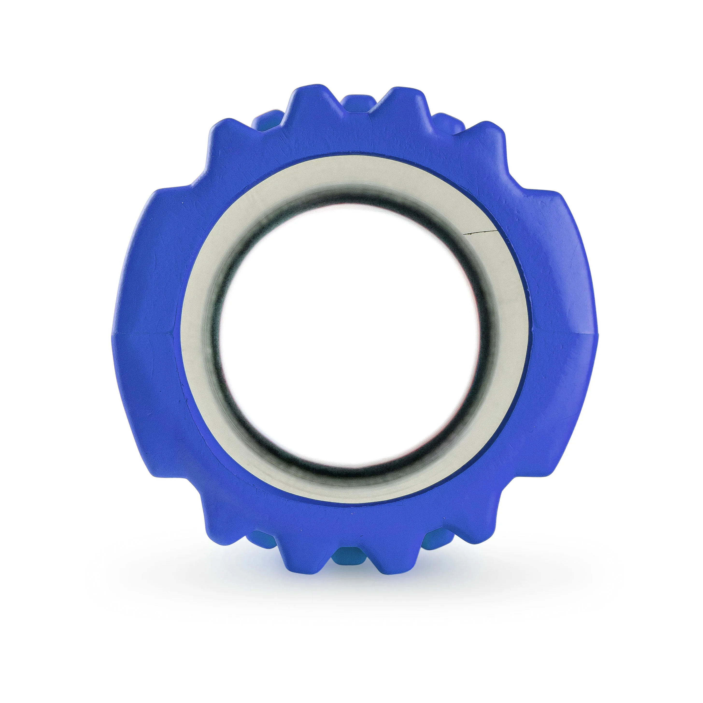 Grid Foam Roller Blue