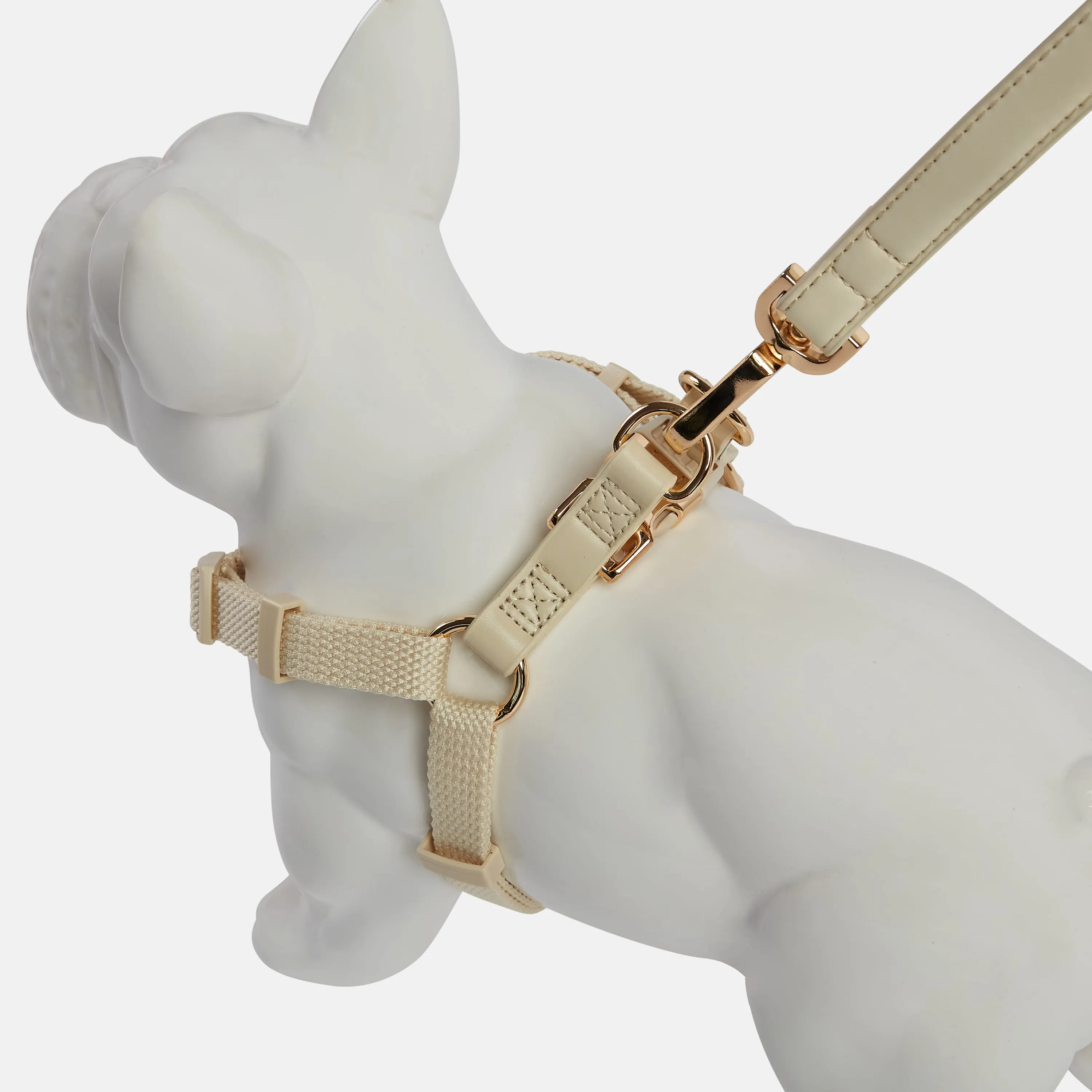 Ivory Off White Dog Harness