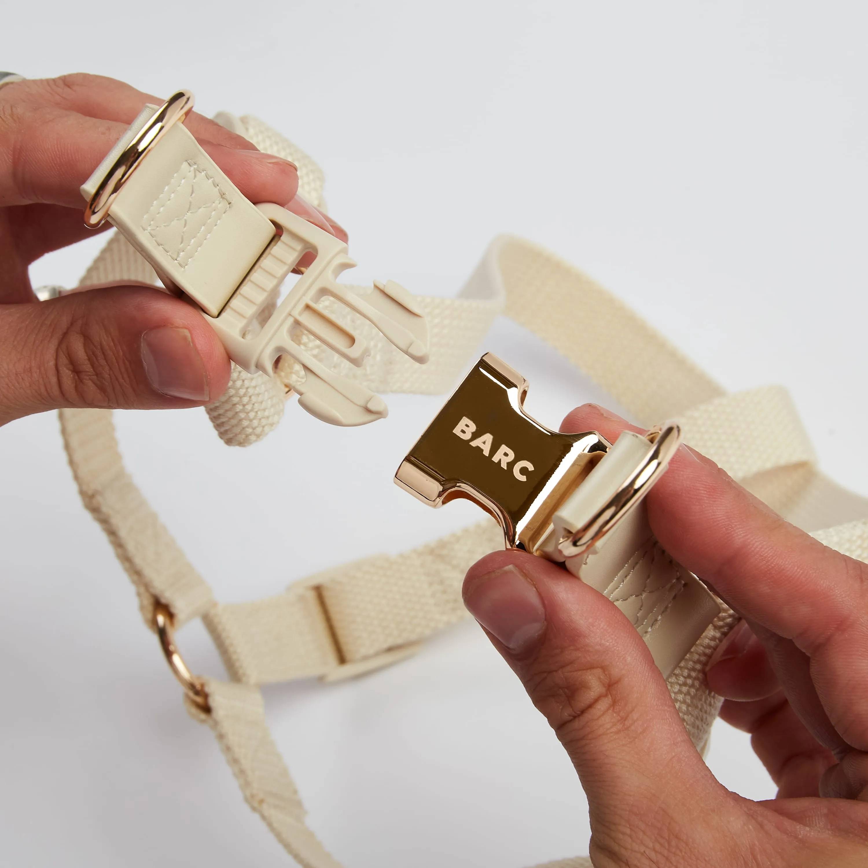 Ivory Off White Dog Harness