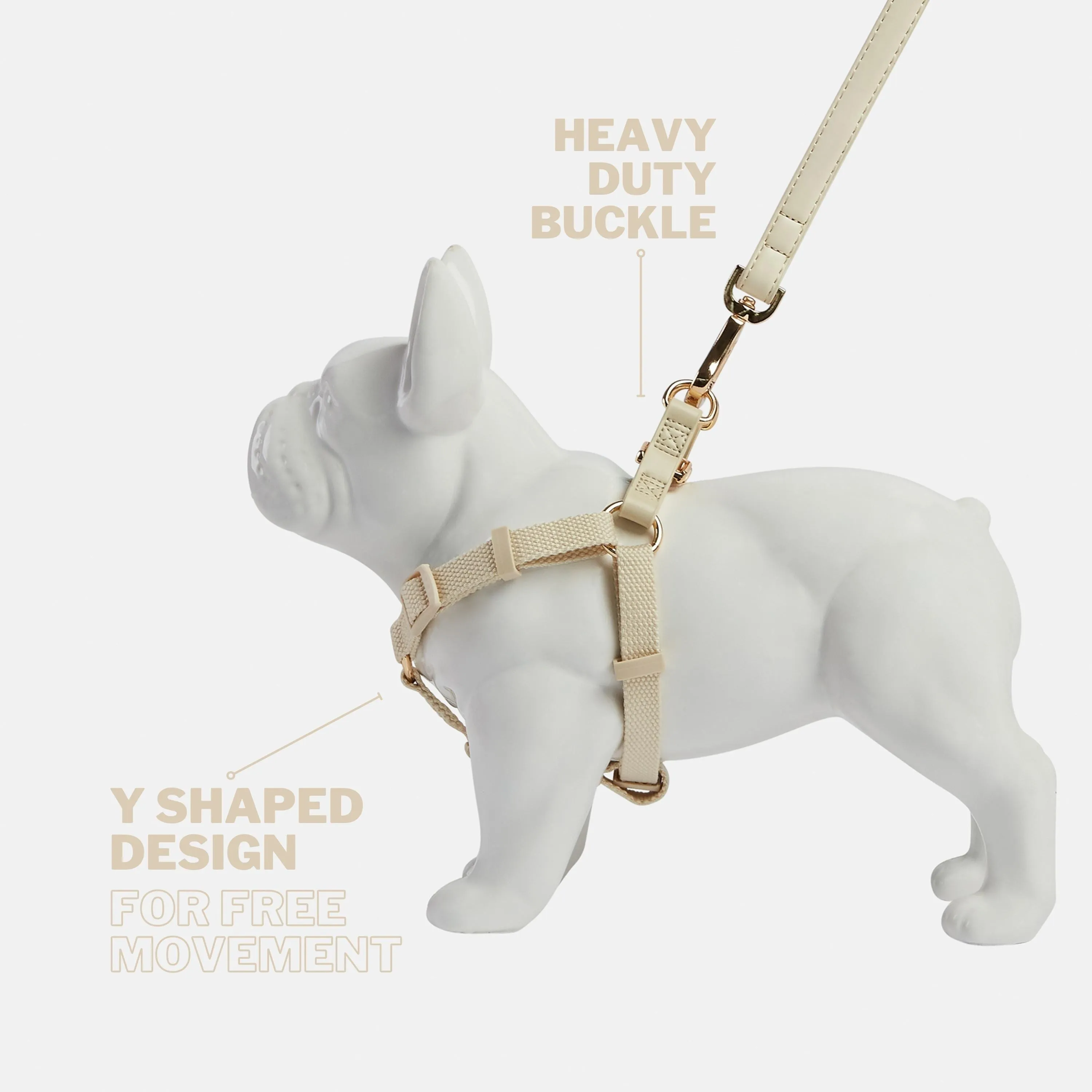 Ivory Off White Dog Harness