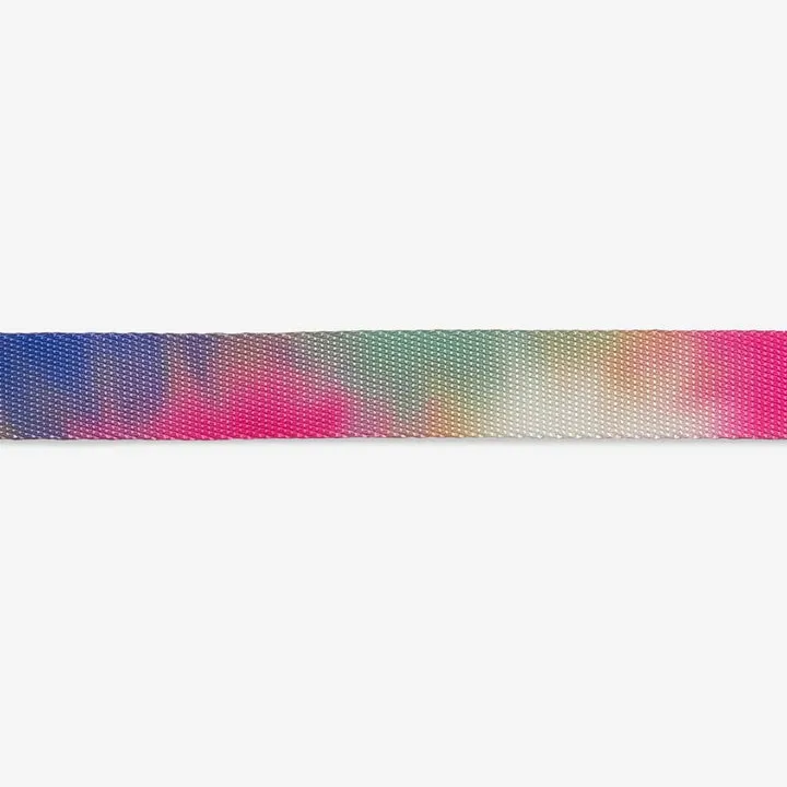 Leash - Bliss