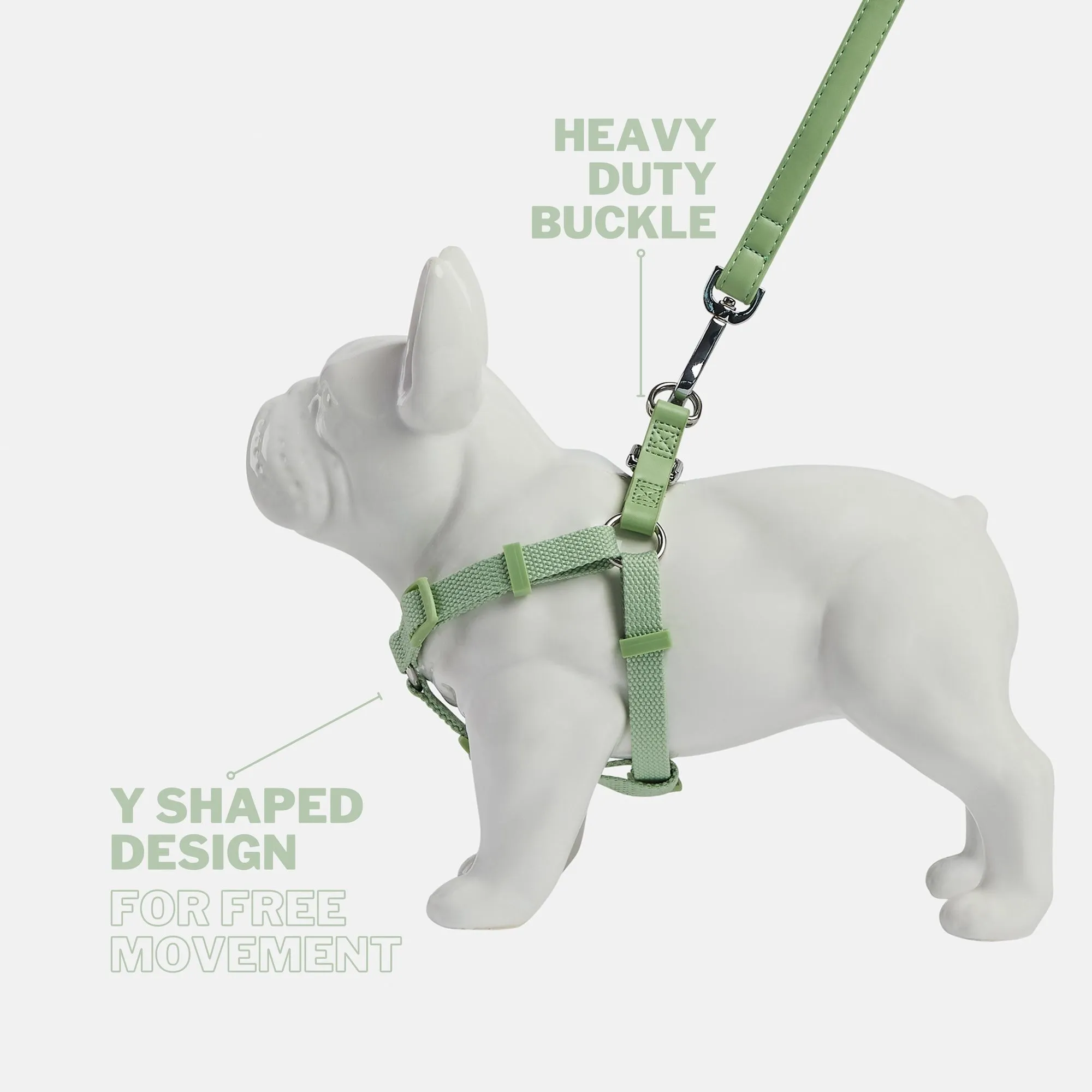 Lush Green Dog Harness & Lead Set