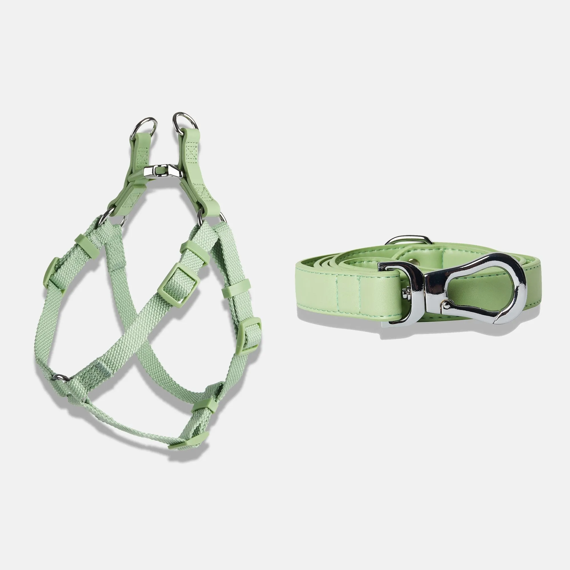 Lush Green Dog Harness & Lead Set