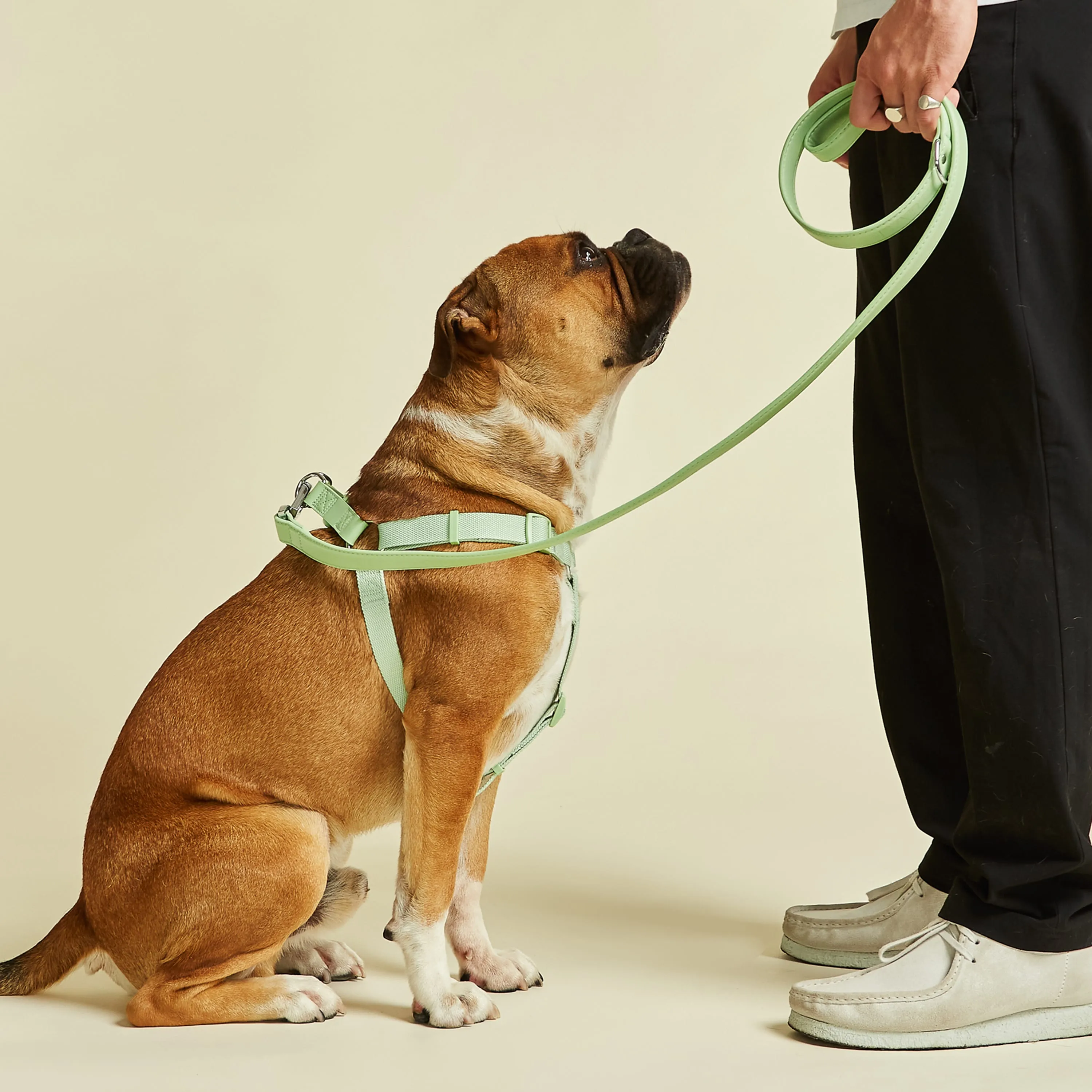 Lush Green Dog Harness