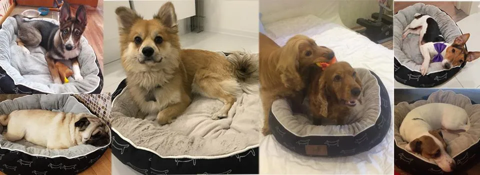 Memory Foam Dog Bed in S/M/L