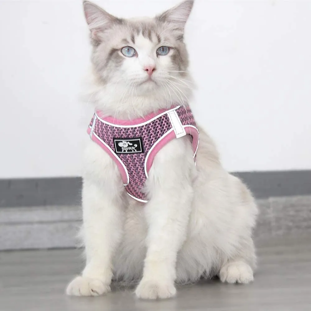 New Duomm Universal Dog Cat Harness with Leash - Anti-Escape Cat Harness - Adjustable Reflective Harness for Dogs - Soft Mesh Comfortable No Pulling No Choking, Pink, Sz L!