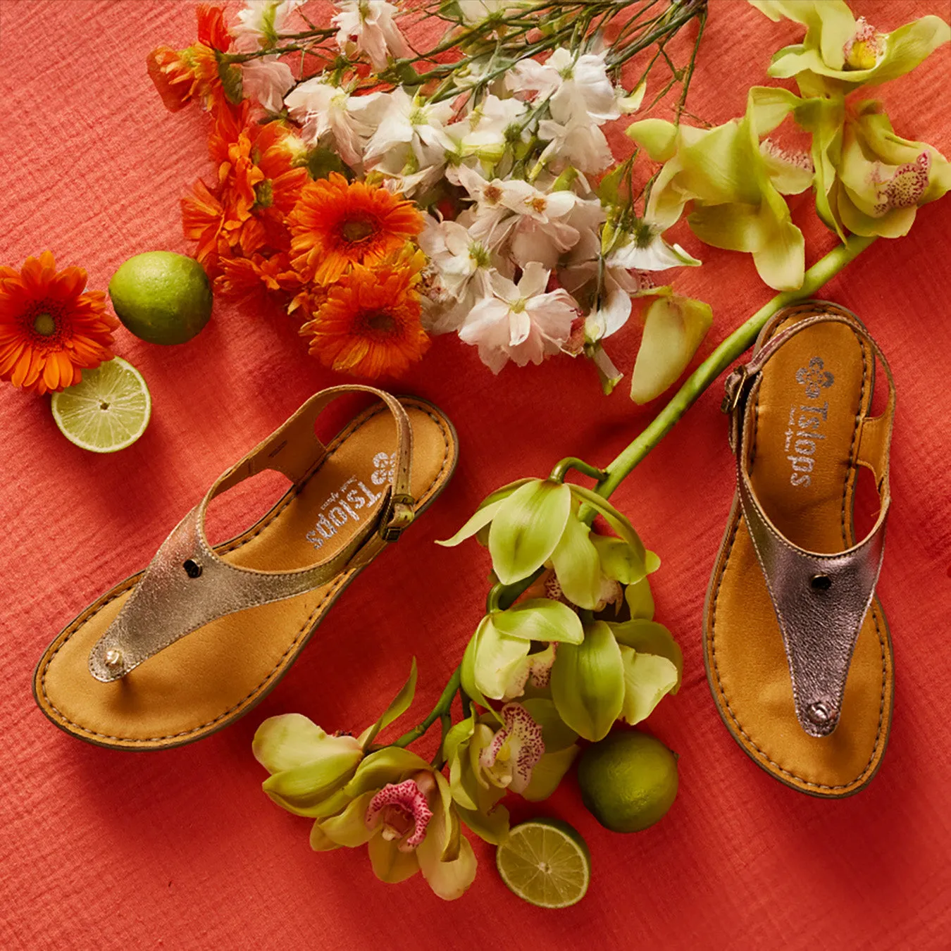 Ovaroli : Ladies Leather Tslops Sandal in Gold Foil