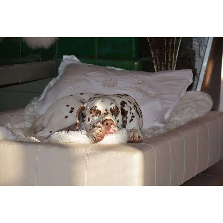 Pet Interiors Cube Faux Leather Dog Bed