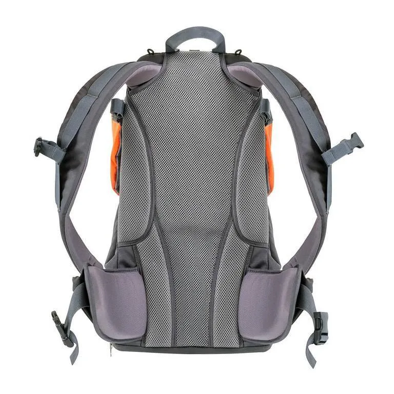 Phil & Teds Parade™ Back Carrier - Orange