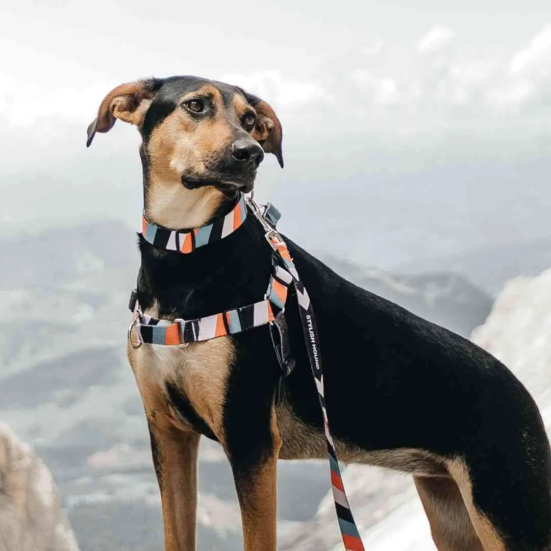 Superfly Leash