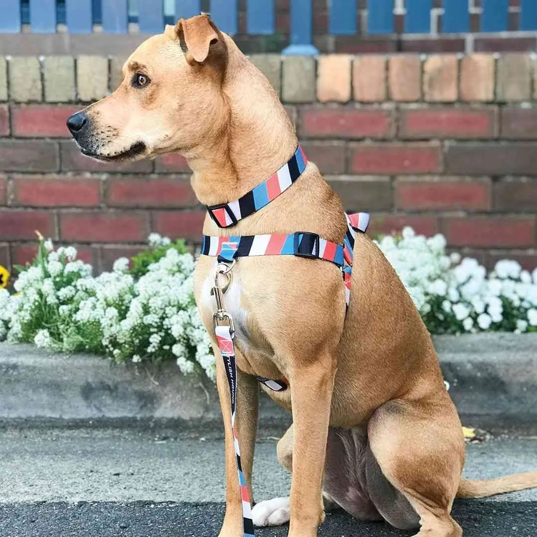 Superfly Leash