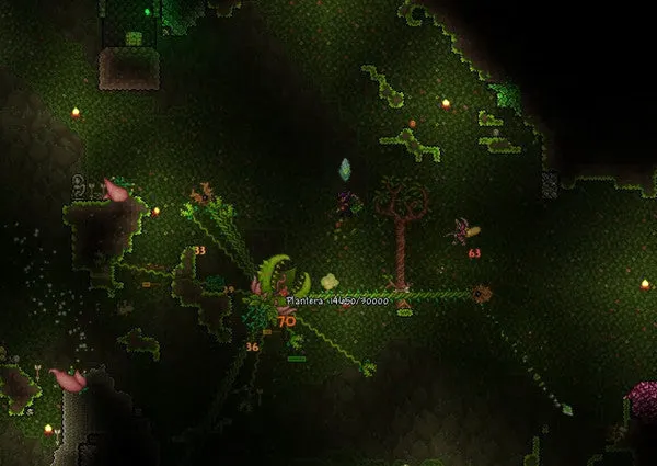 Terraria (PC/MAC/LINUX)