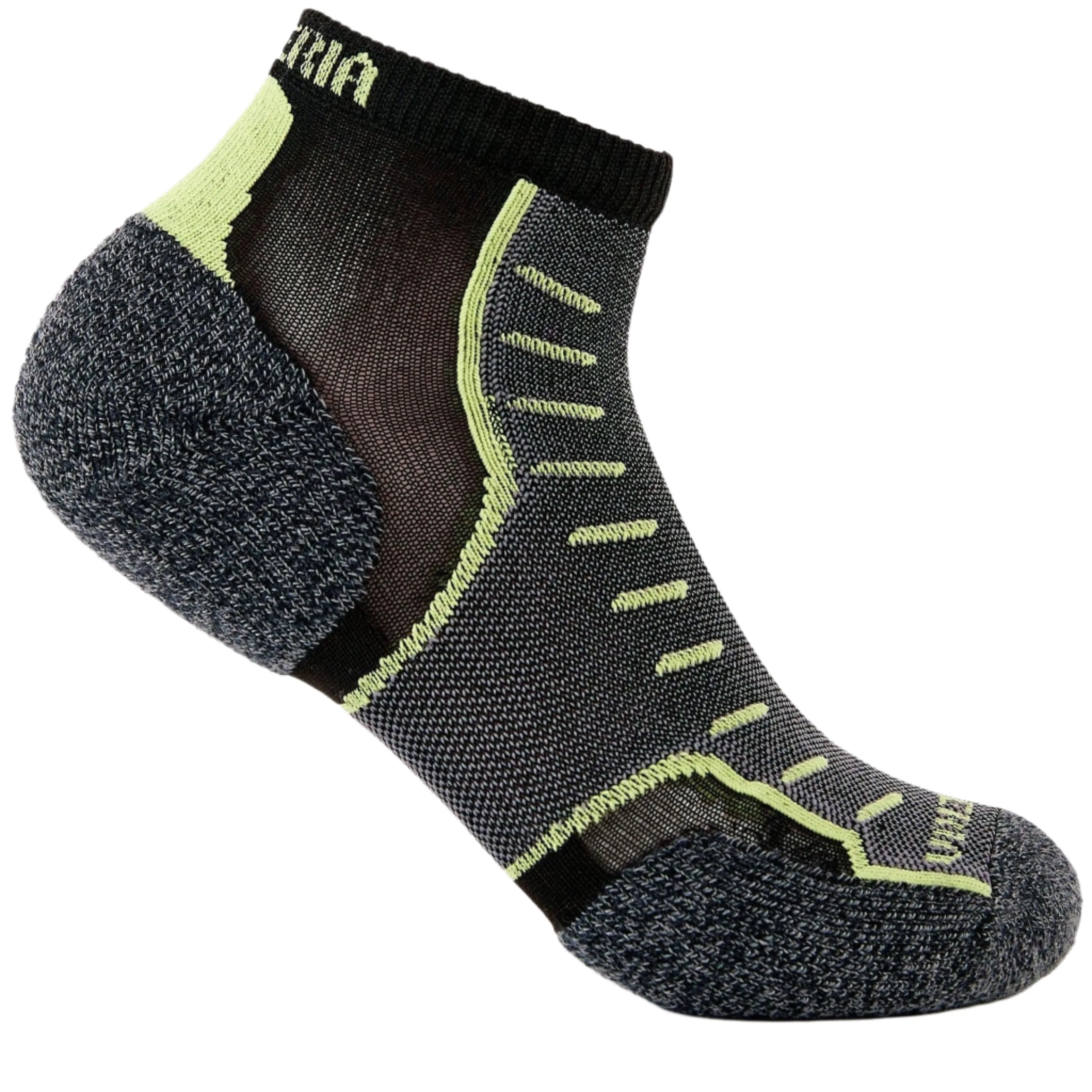 Thorlo Experia TECHFIT Light Cushion Low-Cut Socks