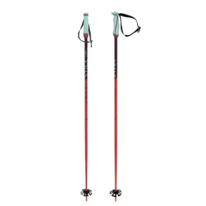 Volkl Phantastick Ski Poles Adult 2023