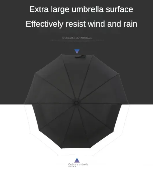 Windproof Double Layer Fully Automatic Resistant Umbrella